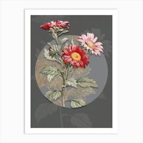 Vintage Botanical Red Aster Flowers on Circle Gray on Gray n.0029 Art Print