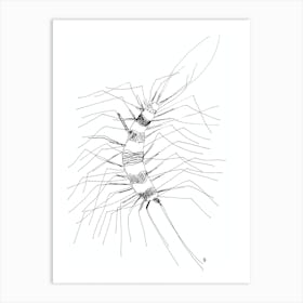 Minimalist Scolopendra white black abstract nature sketch minimal line ink drawing  Art Print