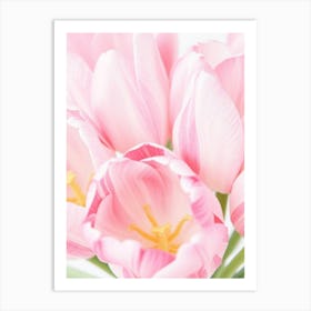 Pink Tulips 1 Art Print