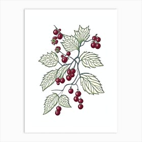 Schisandra Herb William Morris Inspired Line Drawing 2 Art Print