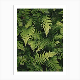 Pattern Poster Giant Chain Fern 3 Art Print