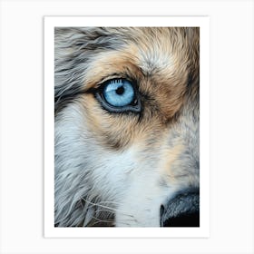 Himalayan Wolf Eye 2 Art Print