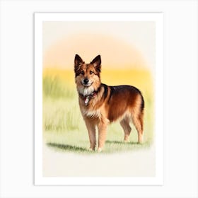 Berger Picard Illustration Dog Art Print