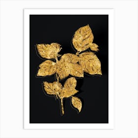 Vintage Carolina Allspice Flower Botanical in Gold on Black n.0479 Art Print