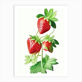 June Bearing Strawberries, Plant, Marker Art Illustration 1 Art Print