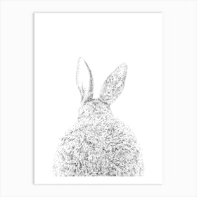 Bunny Tail Animal Print 1 Art Print