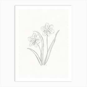 Daffodils Art Print