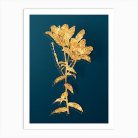 Vintage Orange Bulbous Lily Botanical in Gold on Teal Blue n.0210 Art Print