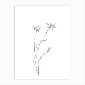 Lily Of The Valley line art Art Print