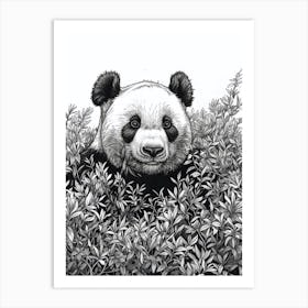 Giant Panda Hiding In Bushes Ink Illustration 3 Art Print