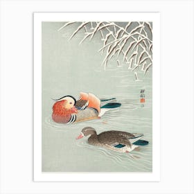 Mandarin Ducks (1925 1936), Ohara Koson Art Print