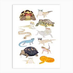 Reptiles In Glasses Art Print