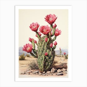 Vintage Cactus Illustration Austrocylindropuntia Subulata 1 Art Print