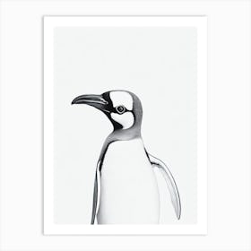 Penguin B&W Pencil Drawing 1 Bird Art Print