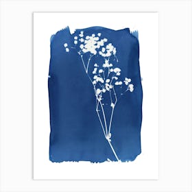 Flower Stems Cyanotype Art Print