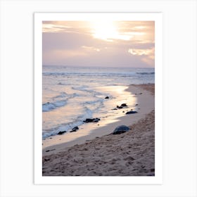 Sunset On The Beach 1 Art Print