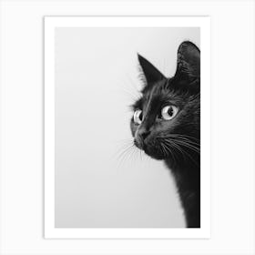 Black Cat Peeking Art Print