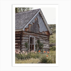 Abandoned Homestead Cabin Art Print