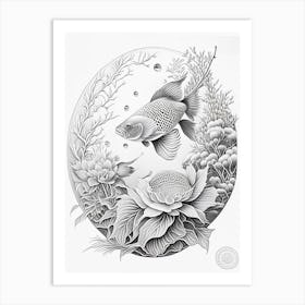 Hikari Moyomono Koi Fish Haeckel Style Illustastration Art Print