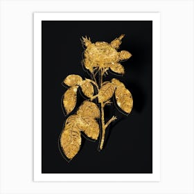 Vintage Red Gallic Rose Botanical in Gold on Black n.0405 Art Print