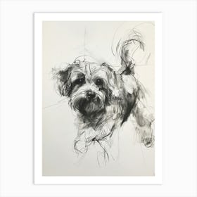 Lowchen Dog Charcoal Line 2 Art Print