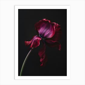 Poster Red Beauty 5 Art Print