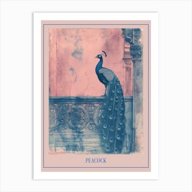 Pink & Blue Peacock In A Palace Poster Art Print