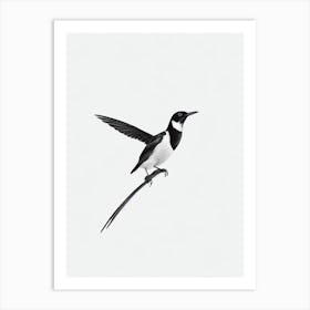 Magpie B&W Pencil Drawing 2 Bird Art Print