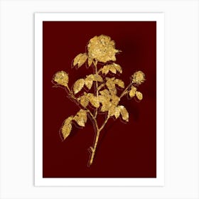 Vintage Agatha Rose in Bloom Botanical in Gold on Red n.0231 Art Print