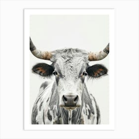 Longhorn Canvas Print Art Print