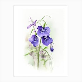 Bellflower Wildflower Watercolour 1 Art Print