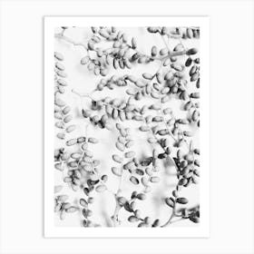 Black And White Leaves 3 Art Print