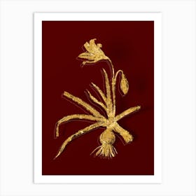 Vintage Amaryllis Broussonetii Botanical in Gold on Red n.0263 Art Print