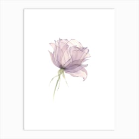 Watercolor Rose Art Print