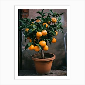 Tangerine Tree Art Print