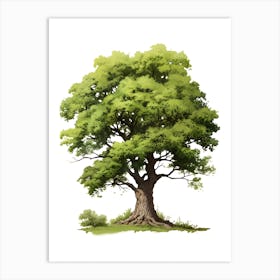 Oak Tree Drawing Art Print