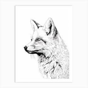 Fox Portrait Illustration 4 Art Print