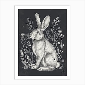 Polish Rex Rabbit Minimalist Illustration 4 Art Print
