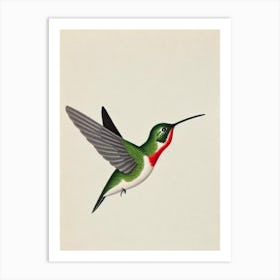 Hummingbird Illustration Bird Art Print