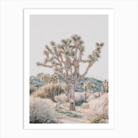 Joshua Tree Boulder Art Print