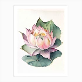 Sacred Lotus Watercolour Ink Pencil 1 Art Print