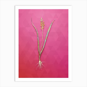 Vintage Lachenalia Pallida Botanical Art on Beetroot Purple n.1989 Art Print