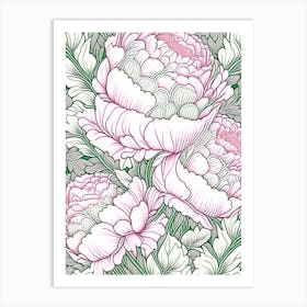 Festiva Maxima Peonies Pink 1 Drawing Art Print