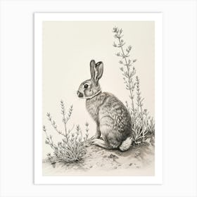 Thrianta Rabbit Drawing 1 Art Print