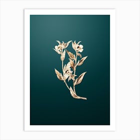 Gold Botanical Long Branched Enothera on Dark Teal n.4891 Art Print