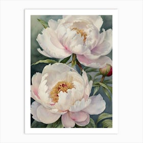 (landscape)White Peonies Art Print