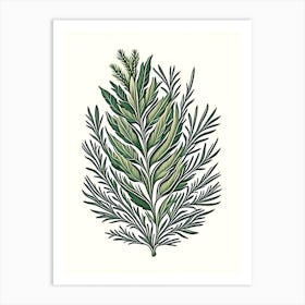 Rosemary Leaf Vintage Botanical 1 Art Print