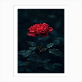 Dark Rose 156 Art Print