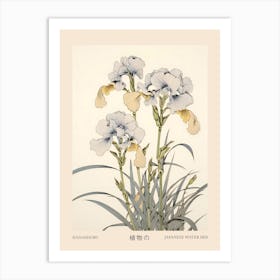 Hanashobu Japanese Water Iris 3 Vintage Japanese Botanical Poster Art Print