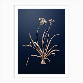 Gold Botanical Allium Fragrans on Midnight Navy n.1774 Art Print